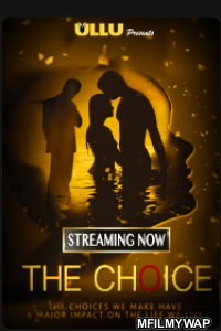 The Choice (2019) Hindi Complete Season 1 TV Shows